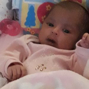 null - Todos ajudando Luna para conseguir seu dinheiro para su