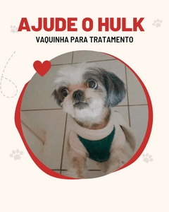 Vaquinha Online - Ajude o Hulk - Suspeita de Aplasia Medular