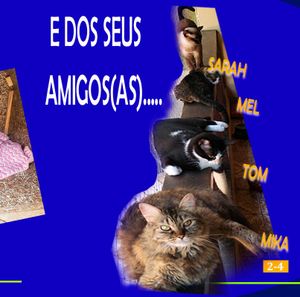 🐾🐾 Unidos por Nossos Peludos: Transformando Amor em Ação 🌟 🐾 imagem 13