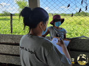 Programa Amigos da Onça - As onças da Caatinga precisam de sua ajuda!
