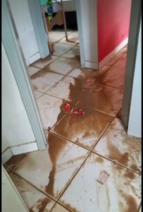 TODOS PELA CIDA - ALAGAMENTO ITAPEMA imagem 7