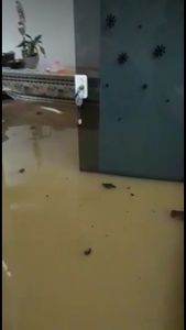 TODOS PELA CIDA - ALAGAMENTO ITAPEMA imagem 9