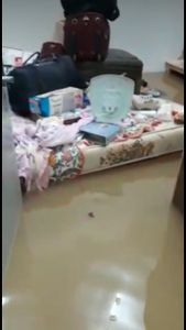 Florianópolis/SC - TODOS PELA CIDA - ALAGAMENTO ITAPEMA