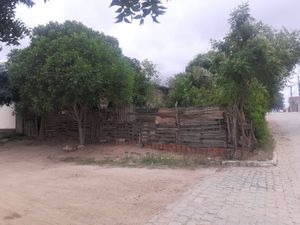 Vaquinha - Ajude na realização da construção do muro da minha casa