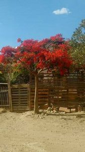 Unidos por um sonho - Ajude na realização da construção do muro da minha casa