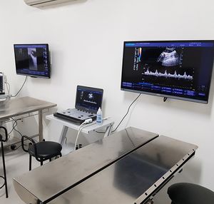 Financiamento Coletivo - Aquisição de maquina para reparo de equipamentos veterinários de ongs