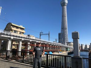 Super Alimentos e seus benefícios imagem 6