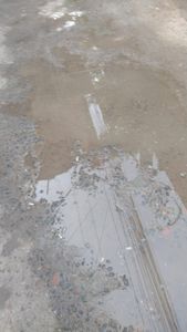 Recife/PE - Realização de sonho 