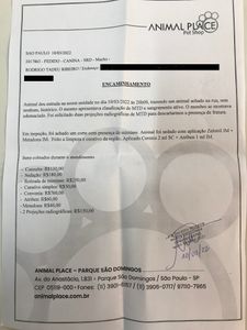 Animais - Ajude o Spark/Fedido