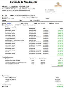 Gio, gato de rua atropelado e com necrose nas lesões precisa de cirurgia imagem 10