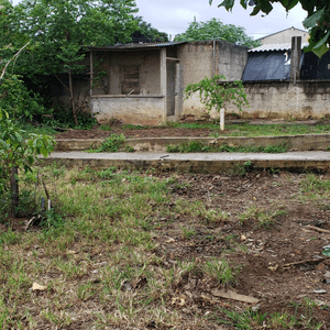 Reforma do Abrigo Patinhas Anônimas imagem 6