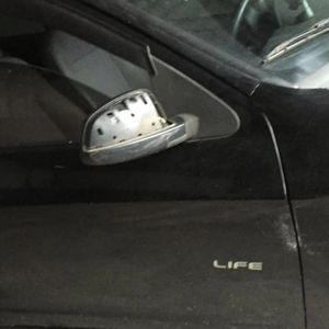 Vaquinha - fé e esperança sempre 