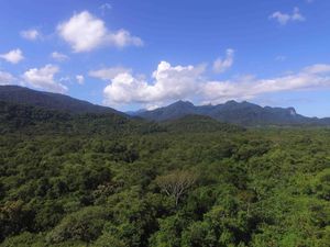 Animais - AJUDE NA CONSTRUÇÃO DE RECINTO PARA AS AVES EM REABILITAÇÃO NO NOSSO CETAS