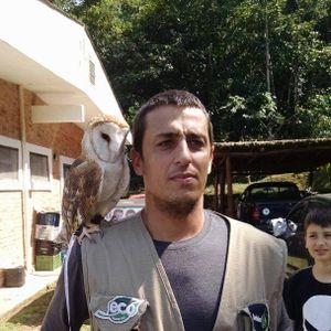 AJUDE NA CONSTRUÇÃO DE RECINTO PARA AS AVES EM REABILITAÇÃO NO NOSSO CETAS imagem 8