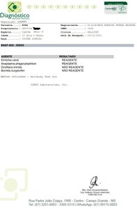 Letícia - idosa_abandonada