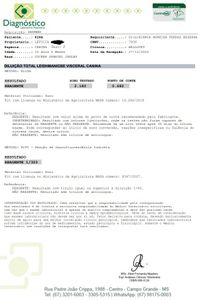 Campo Grande/MS - idosa_abandonada