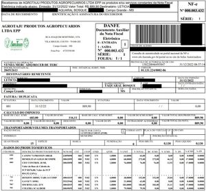 idosa_abandonada imagem 7