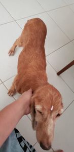 idosa_abandonada imagem 6