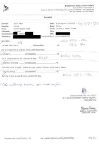 idosa_abandonada imagem 8