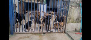 PROJETO CEL 20 ANOS SALVANDO VIDAS!