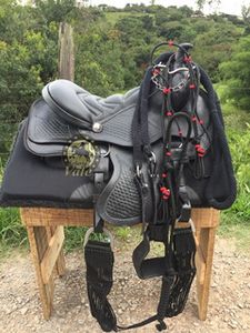 Vaquinha Online - um sonho de criança "comprar um cavalo"