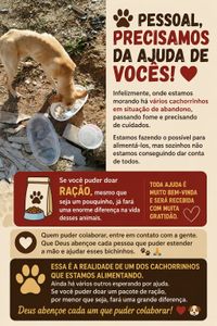 Patinhas com Esperança 