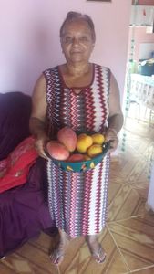 Saúde e Emergências - TODOS PELA CIDA