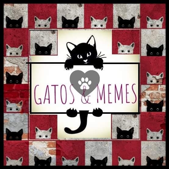 Publicidade Solidária Gatos & Memes 