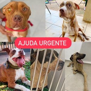 AJUDA CONSTRUÇÃO BAIAS  imagem 6