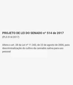 Regule já! imagem 6