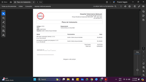 Ajude 3 gatinhas de rua a serem castradas - Ajude 3 gatinhas de rua a serem castradas
