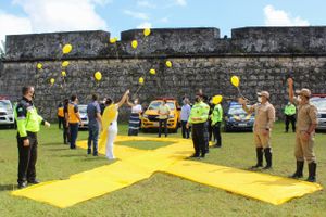 Financiamento Coletivo - Faça parte: Movimento Maio Amarelo pela segurança no trânsito