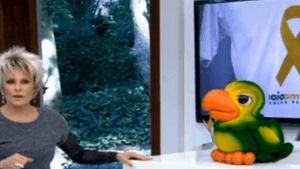 Indaiatuba/SP - Faça parte: Movimento Maio Amarelo pela segurança no trânsito