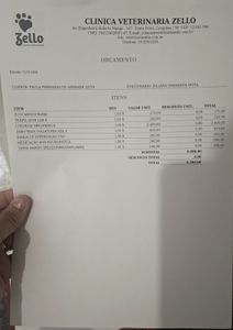 Pagu Pretinha - Cirurgia urgente para a Pagu Pretinha: displasia coxofemural severa 