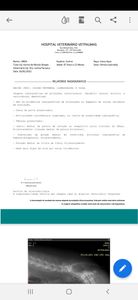 Animais - Ajude a linda andar