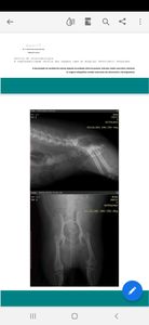 Vaquinha Online - Ajude a linda andar