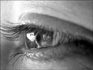 Vaquinha Online - Olhares