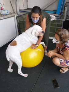 Sivuca - Sivuca de rodinhas!