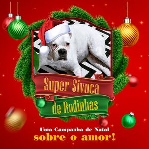 Salvador/BA - Sivuca de rodinhas!