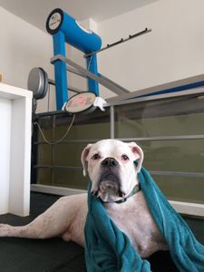 Vaquinha Online - Sivuca de rodinhas!