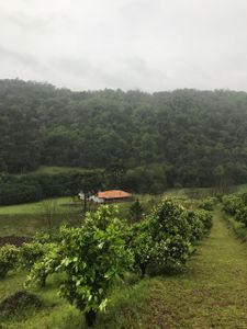 Pavimentação da estrada da Kolonia Espiritual imagem 8