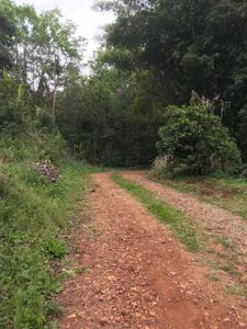 Pavimentação da estrada da Kolonia Espiritual imagem 7