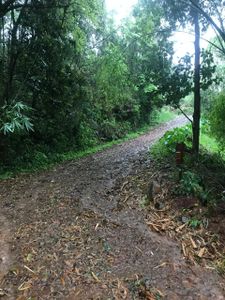 Pavimentação da estrada da Kolonia Espiritual imagem 6