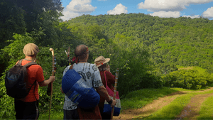 Vaquinha Online - Pavimentação da estrada da Kolonia Espiritual