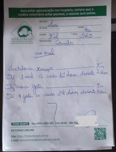 Ajude na recuperação da gatinha Lua  imagem 6