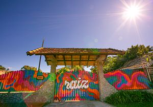 Semeando Raízes! Ajude a manter o Raiz Centro Cultural