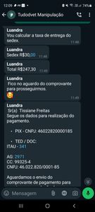 Ajude a Mikasa a Superar os Desafios Pós-Operatórios e Combater a Leucemia Felina ( FELV) imagem 6