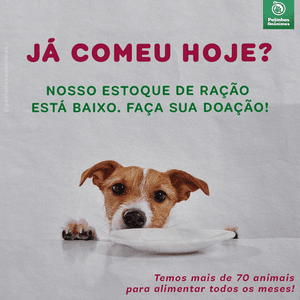 Animais - Patinhas sem fome