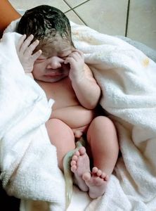 Saúde e Emergências - Casa de Estudos, Nascimentos, Tradições, Raízes e Orações 