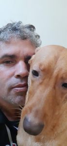 Vaquinha Online - Ajudar nossa lili